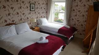 Отели типа «постель и завтрак» Moneylands Farm B&B Арклоу Двухместный номер с 2 отдельными кроватями-1